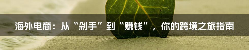 海外电商:从“剁手”到“赚钱”,你的跨境之旅指南