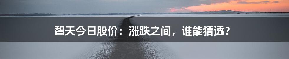 智天今日股价:涨跌之间,谁能猜透?
