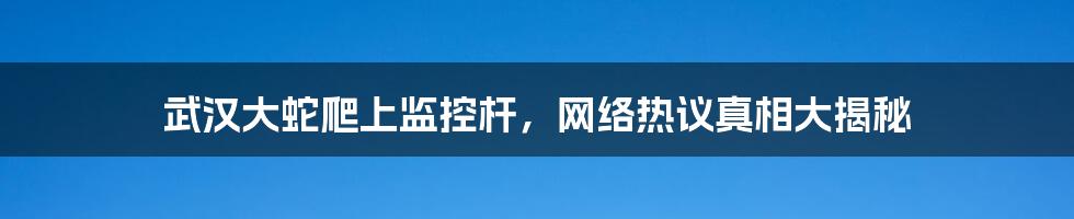武汉大蛇爬上监控杆,网络热议真相大揭秘