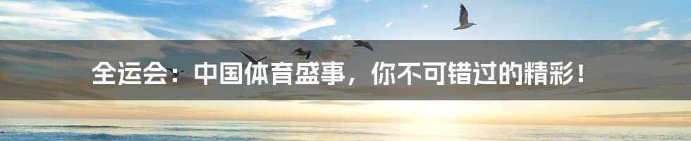 全运会:中国体育盛事,你不可错过的精彩!