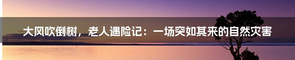 大风吹倒树,老人遇险记:一场突如其来的自然灾害