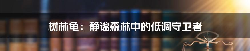 树林龟：静谧森林中的低调守卫者