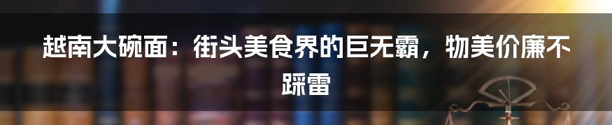 越南大碗面:街头美食界的巨无霸,物美价廉不踩雷