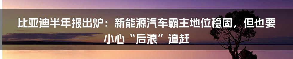 比亚迪半年报出炉:新能源汽车霸主地位稳固,但也要小心“后浪”追赶