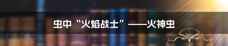 虫中“火焰战士”——火神虫