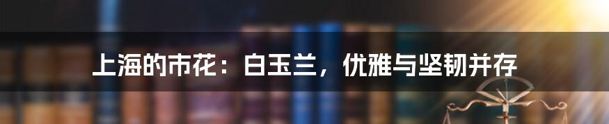 上海的市花:白玉兰,优雅与坚韧并存