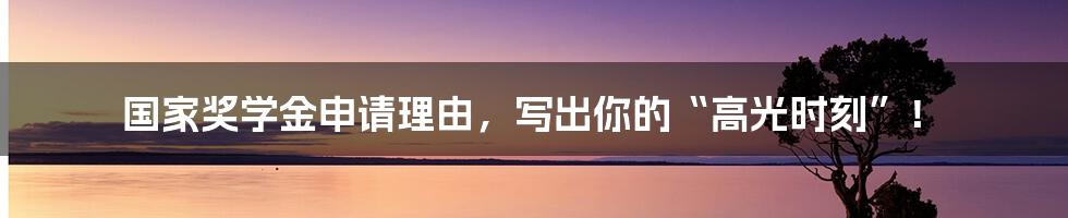 国家奖学金申请理由,写出你的“高光时刻”!
