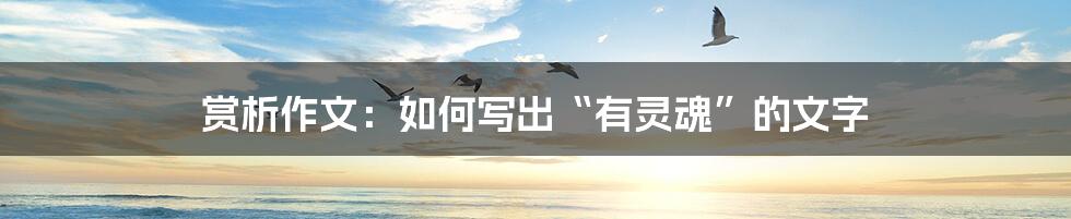 赏析作文:如何写出“有灵魂”的文字