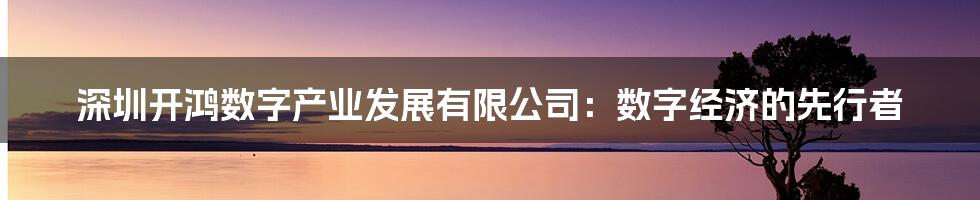 深圳开鸿数字产业发展有限公司:数字经济的先行者