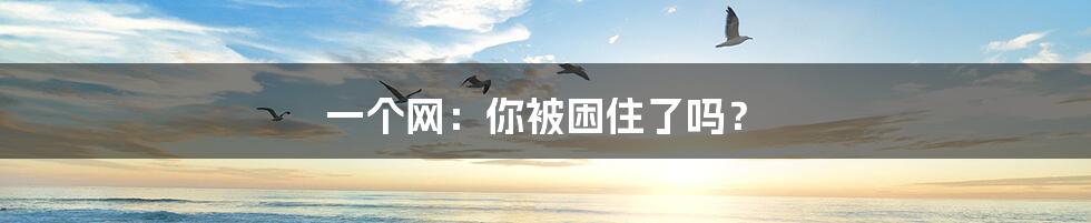 一个网:你被困住了吗?