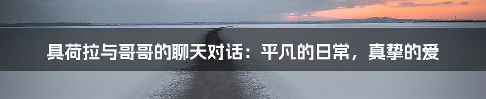 具荷拉与哥哥的聊天对话:平凡的日常,真挚的爱