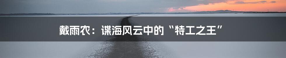 戴雨农:谍海风云中的“特工之王”