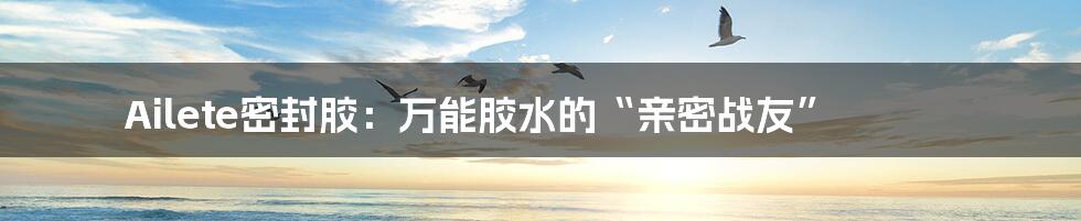 Ailete密封胶:万能胶水的“亲密战友”