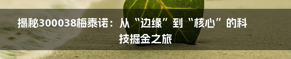 揭秘300038梅泰诺:从“边缘”到“核心”的科技掘金之旅