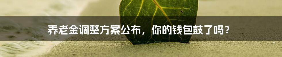 养老金调整方案公布,你的钱包鼓了吗?