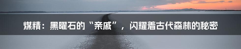 煤精：黑曜石的“亲戚”，闪耀着古代森林的秘密