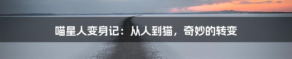 喵星人变身记:从人到猫,奇妙的转变