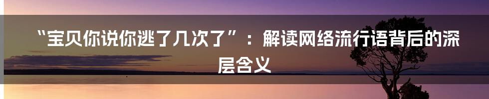 “宝贝你说你逃了几次了”:解读网络流行语背后的深层含义