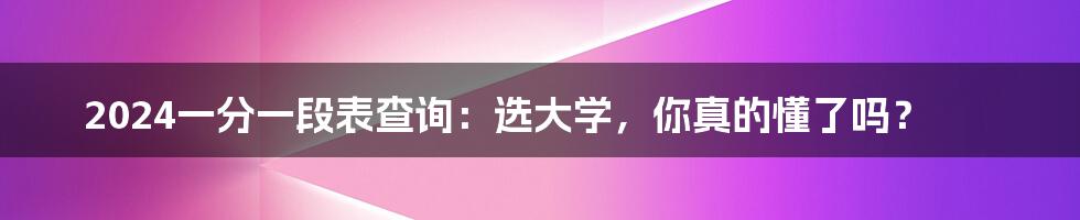 2024一分一段表查询：选大学，你真的懂了吗？