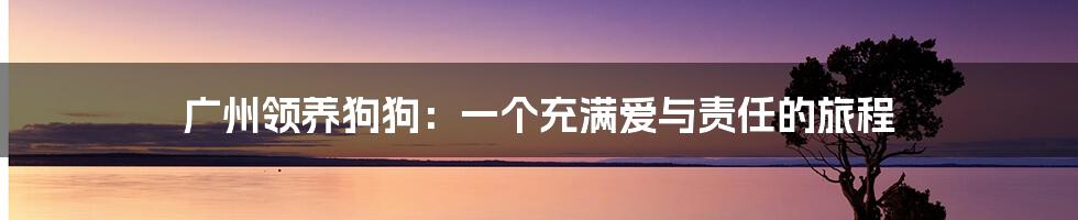 广州领养狗狗：一个充满爱与责任的旅程