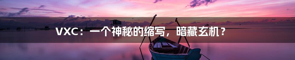 VXC:一个神秘的缩写,暗藏玄机?