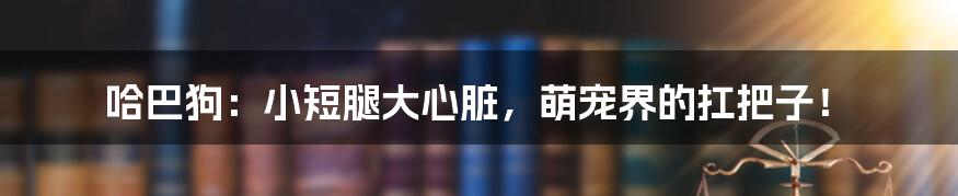 哈巴狗:小短腿大心脏,萌宠界的扛把子!