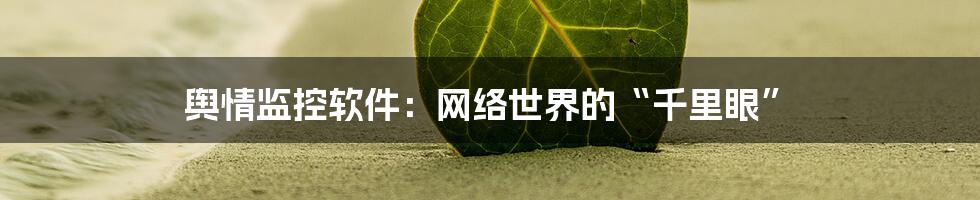 舆情监控软件:网络世界的“千里眼”