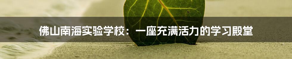 佛山南海实验学校:一座充满活力的学习殿堂