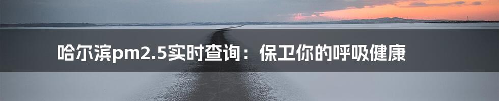 哈尔滨pm2.5实时查询:保卫你的呼吸健康
