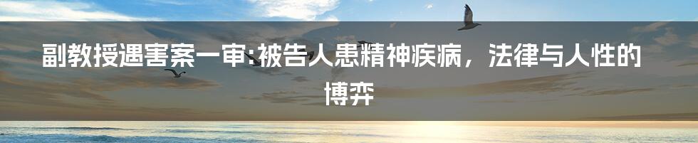 副教授遇害案一审:被告人患精神疾病，法律与人性的博弈