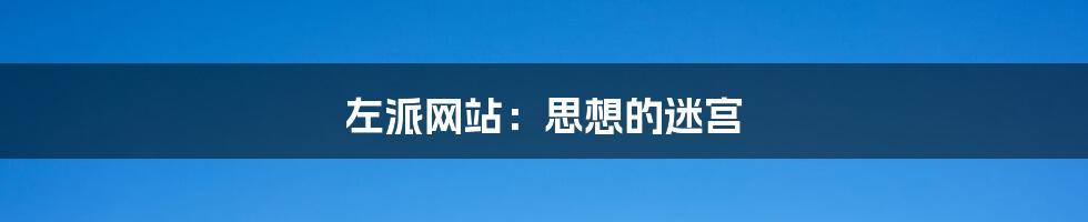 左派网站:思想的迷宫