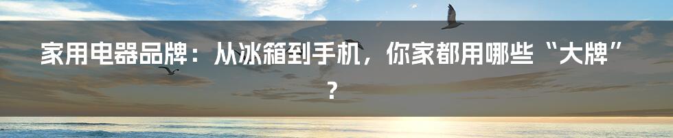 家用电器品牌:从冰箱到手机,你家都用哪些“大牌”?