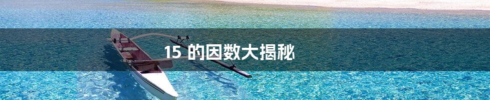 15 的因数大揭秘