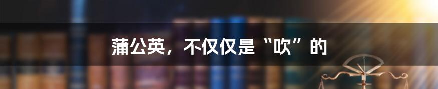 蒲公英，不仅仅是“吹”的