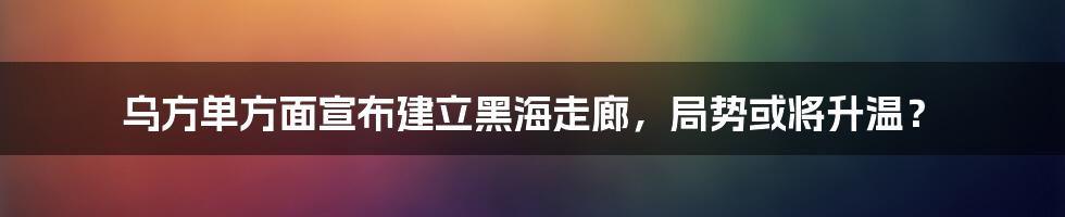 乌方单方面宣布建立黑海走廊,局势或将升温?