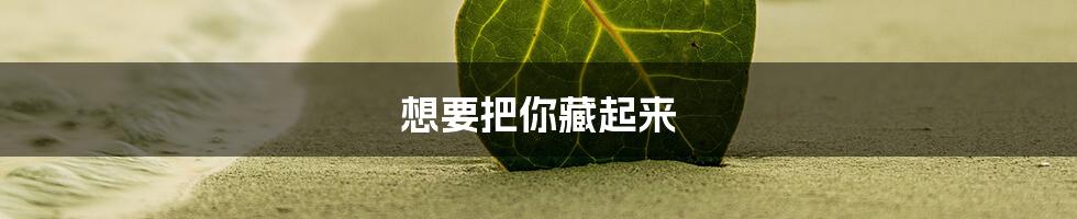 想要把你藏起来