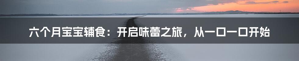 六个月宝宝辅食：开启味蕾之旅，从一口一口开始