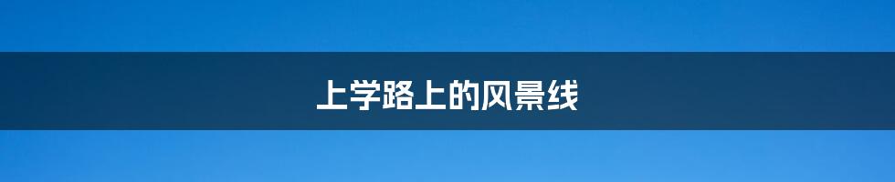 上学路上的风景线