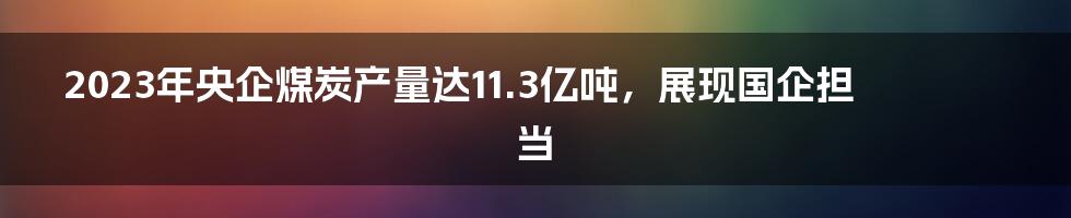 2023年央企煤炭产量达11.3亿吨,展现国企担当