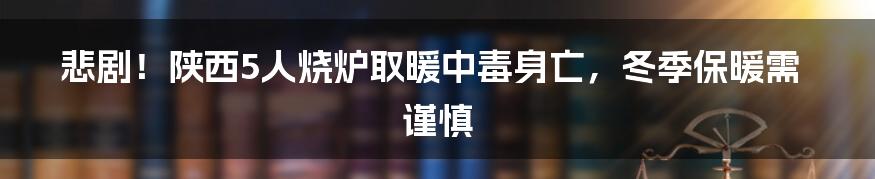 悲剧!陕西5人烧炉取暖中毒身亡,冬季保暖需谨慎