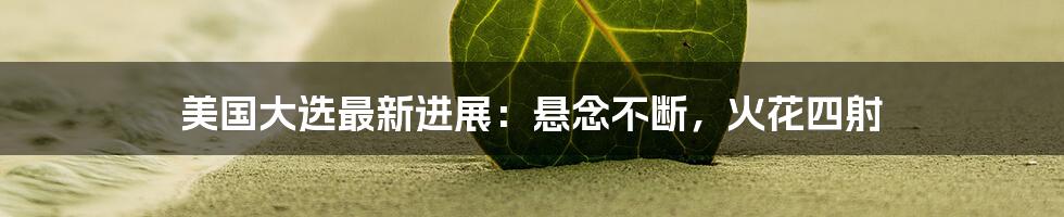 美国大选最新进展:悬念不断,火花四射