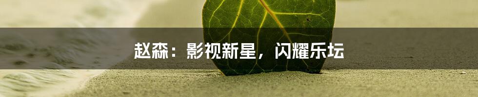 赵森:影视新星,闪耀乐坛