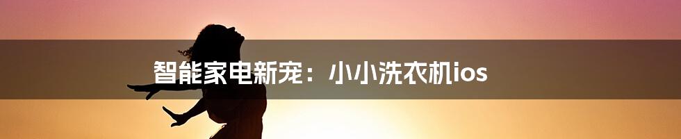 智能家电新宠:小小洗衣机ios