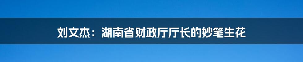 刘文杰:湖南省财政厅厅长的妙笔生花
