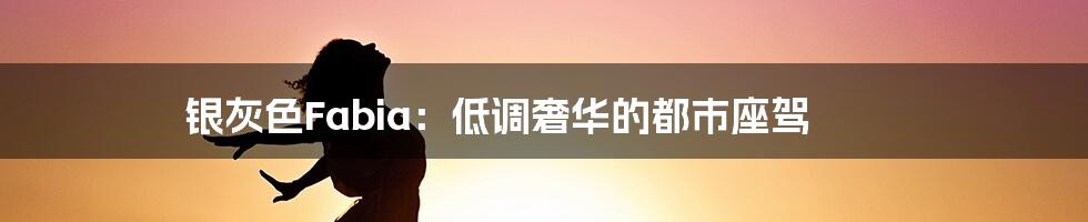 银灰色Fabia:低调奢华的都市座驾