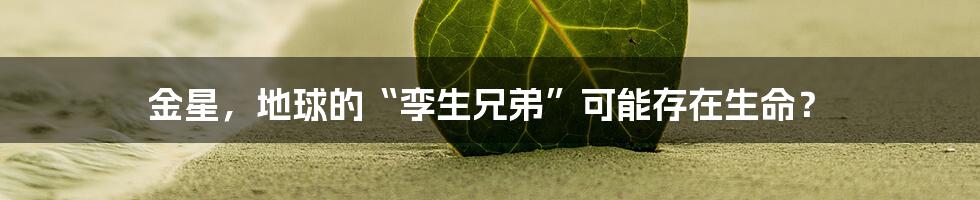 金星，地球的“孪生兄弟”可能存在生命？
