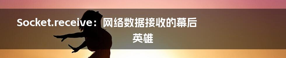 Socket.receive：网络数据接收的幕后英雄