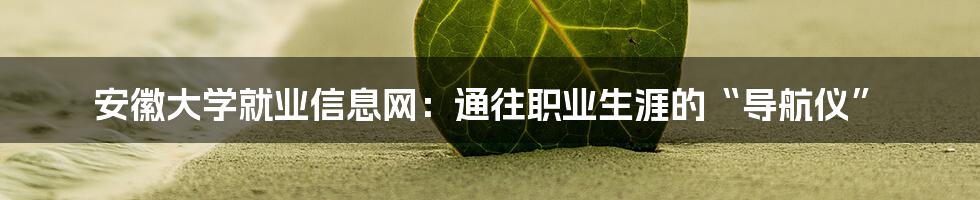 安徽大学就业信息网:通往职业生涯的“导航仪”