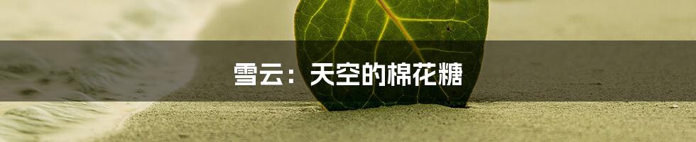 雪云:天空的棉花糖