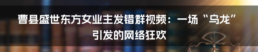 曹县盛世东方女业主发错群视频：一场“乌龙”引发的网络狂欢
